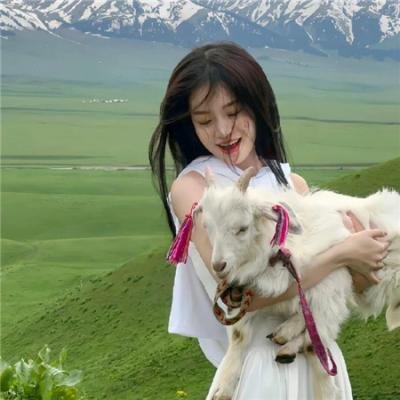 皇上命我来选妃封面