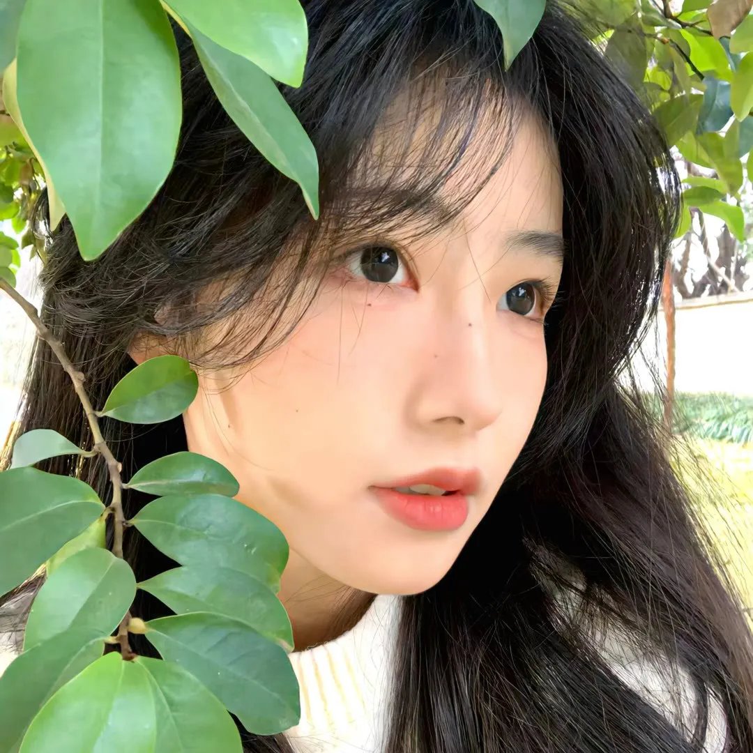 彩色的小路封面